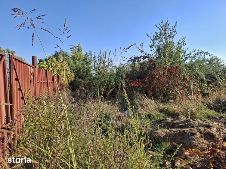 Teren de 9861 mp, în Blejoi