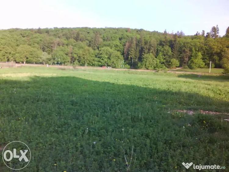 Teren 1381 mp intravilan Cristian jud Brasov - 4