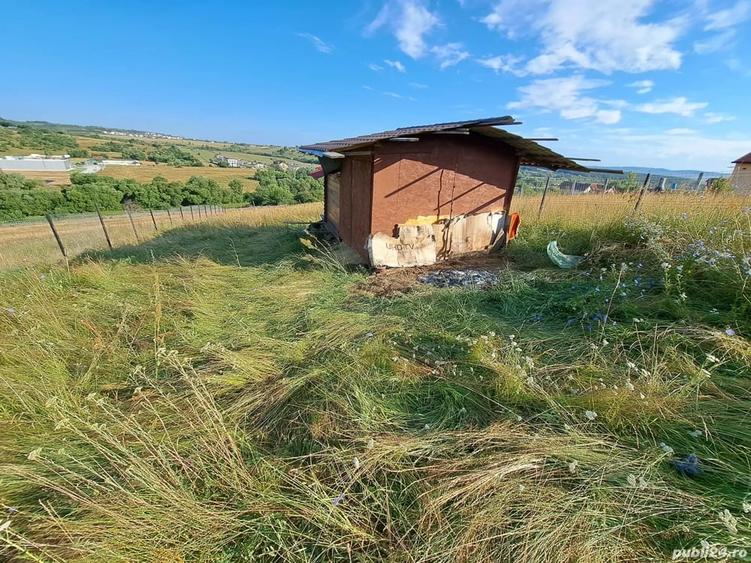 Teren de 650 mp, în Central