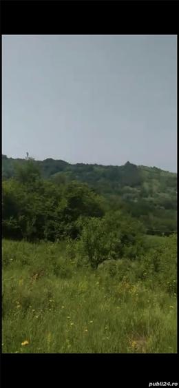 Teren de 5531 mp, în Drajna