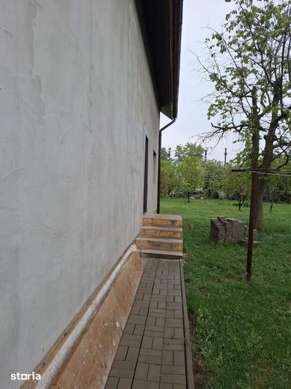 Comision 0 - Casa de vanzare in Carani, Jud. Timis, utilitati complete - 15