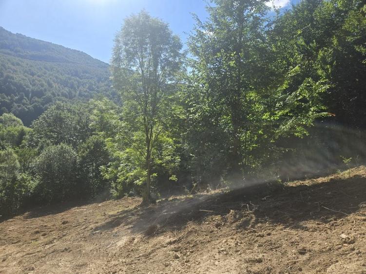 Teren de 2000 mp, în Teșila