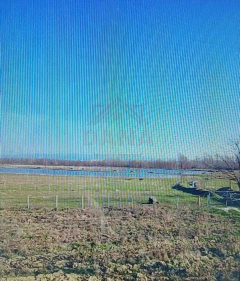 Teren agricol extravilan de 20000 mp, în Vest