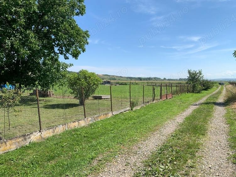 Teren de 7726 mp, în Vidrasău