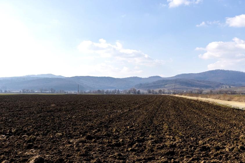 Teren agricol extravilan de 19239 mp, în Vulcan