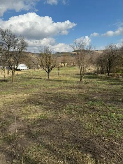 Teren de vanzare Sat Corusu, comuna Baciu 3484mp - 8