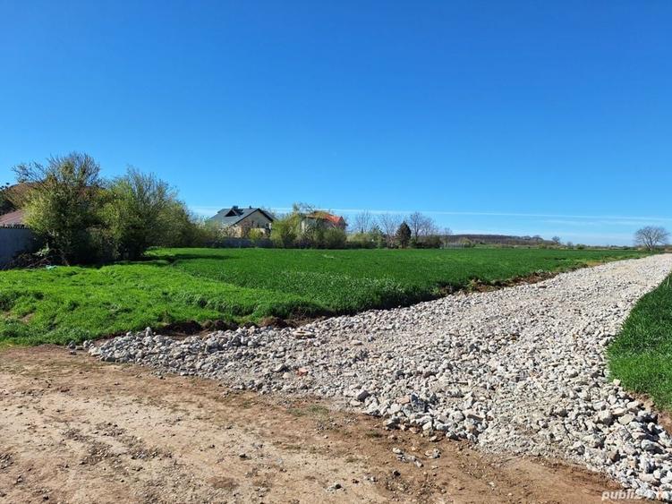 Teren de 460 mp, în Dascălu
