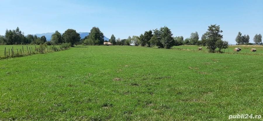 Teren Bran-Sohodol - 4