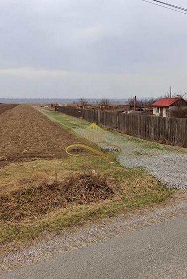 Teren Construcții intravilan de 1000 mp, în Siretu (Săucești)