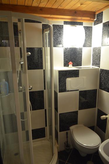Duplex cu 3 camere cu Canalizare în Bușteni