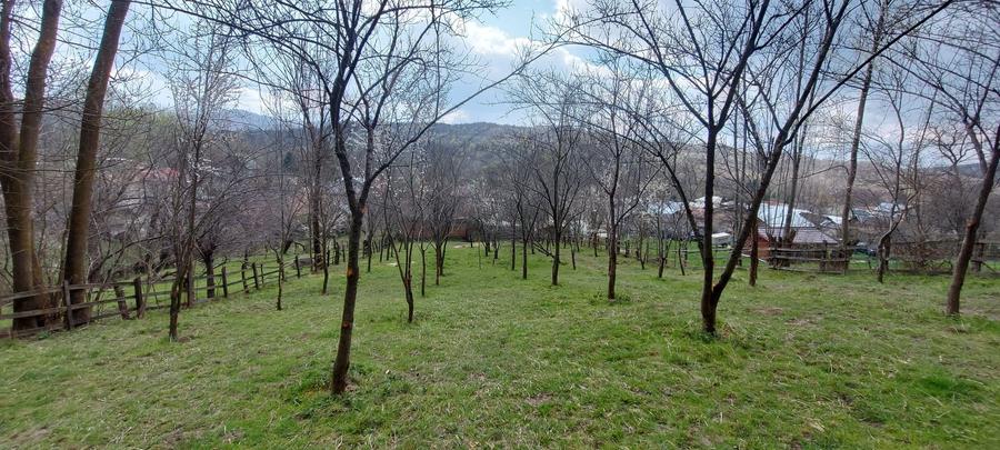 Casă individuală cu 7 camere cu Canalizare în Bezdead