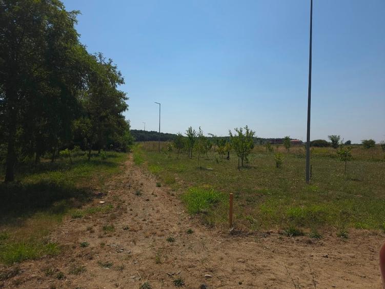 Teren Construcții intravilan de 605 mp, în Ghiroda