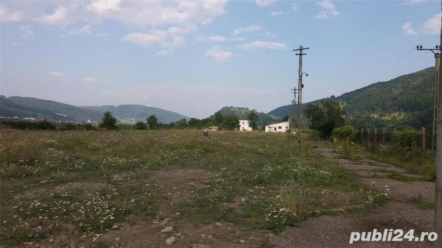 Teren de 1000 mp, în Alexandru cel Bun