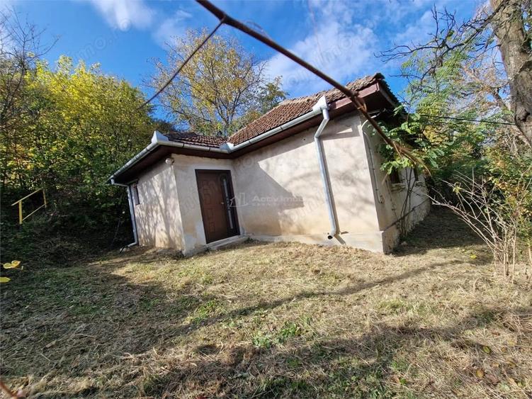 Resita Casa cu Teren privat 4670 Mp. - 10