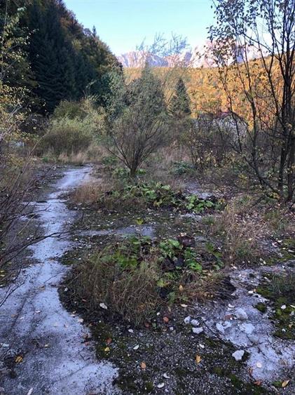 Teren Construcții intravilan de 39000 mp, în Ultracentral