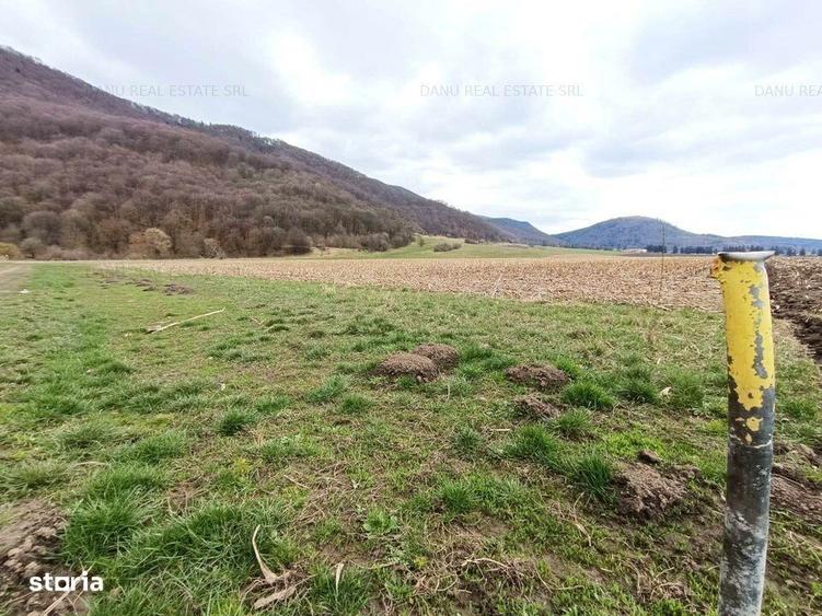 Teren de 16500 mp, în Bartolomeu