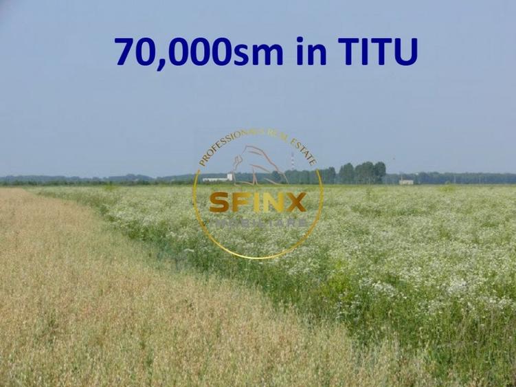 Teren agricol extravilan de 70000 mp, în Titu