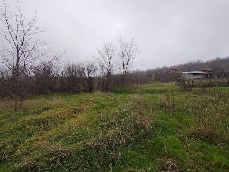 Teren Construcții intravilan de 2000 mp, în Brestei