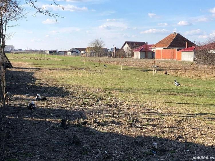 Teren în Central