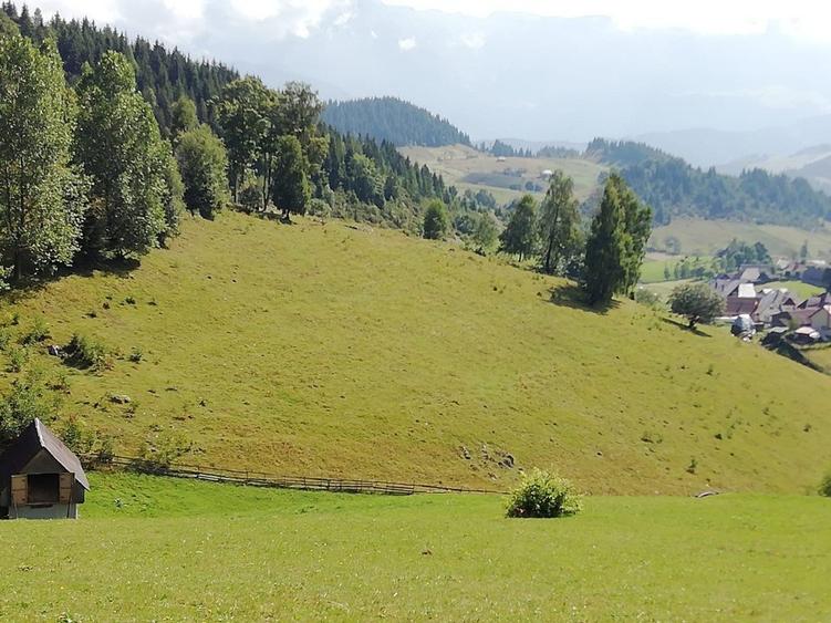 Teren agricol extravilan de 17537 mp, în Fundata