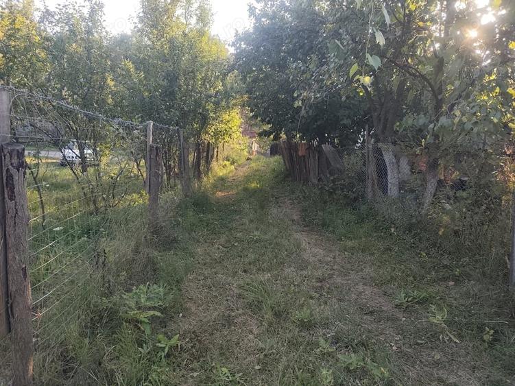 Teren de 2631 mp, în Malu Mierii