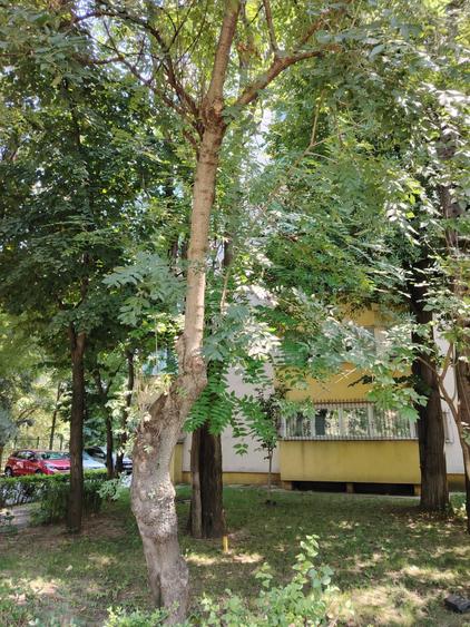 Apartament cu 4 camere decomandat în Doamna Ghica