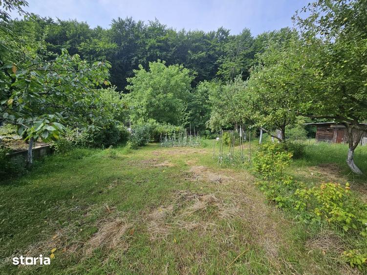 Teren de 1195 mp, în Făget