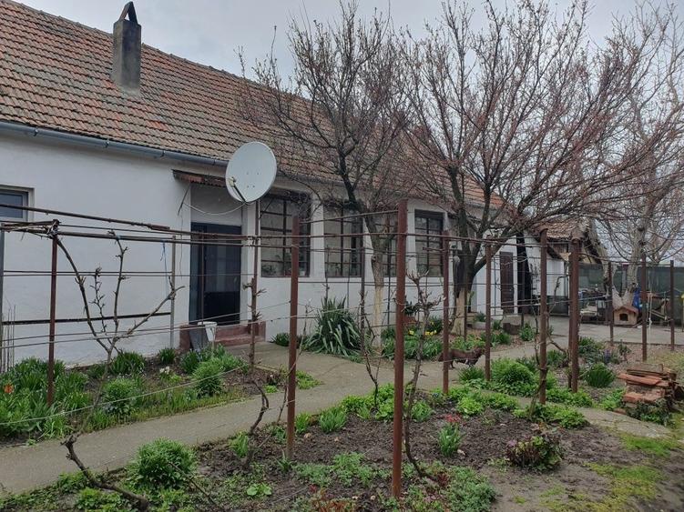 Casă cu 3 camere cu Teren 1750 Mp în Pustiniș
