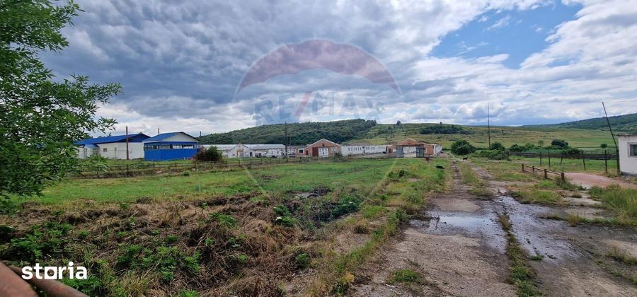 Teren de 39600 mp, în Traian