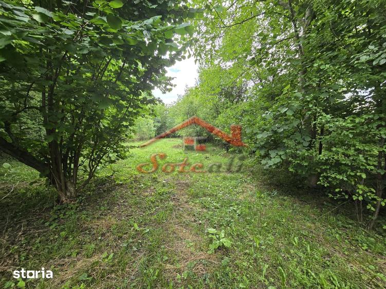 Teren intravilan de vanzare in Cornu de Sus 1.363 mp fara inclinatie - 2