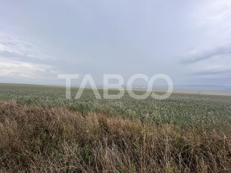 Teren agricol extravilan de 30000 mp, în Șura Mică