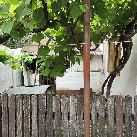 Casă cu 3 camere cu Teren 250 Mp în Central