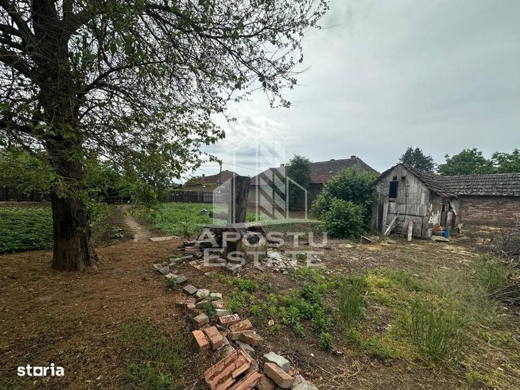 Casă cu 3 camere în Zimandu Nou