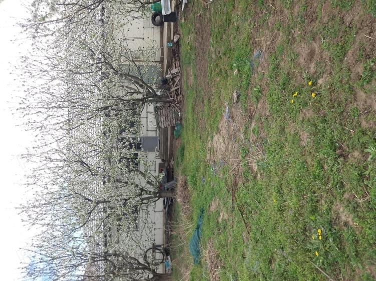 Casă în Chiscani