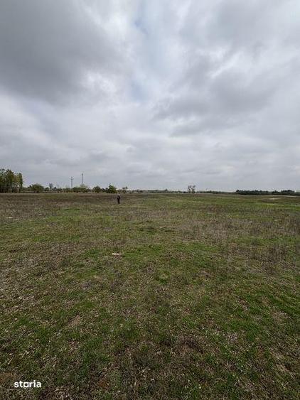 Teren de 14000 mp, în Bratovoești
