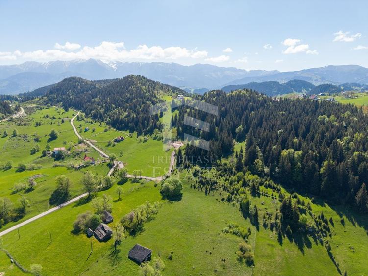 Teren Construcții intravilan de 15771 mp, în Fundata