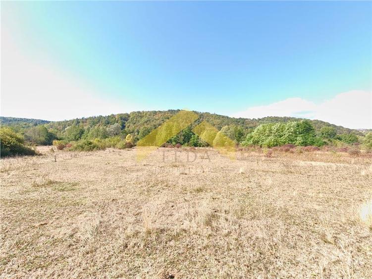 Teren extravilan de 20574 mp, în Corbești