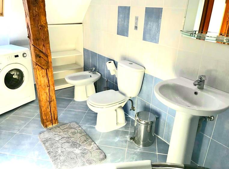Apartament de inchiriat in Centru Vechi / Centrul Istoric, N. Balcescu - 7