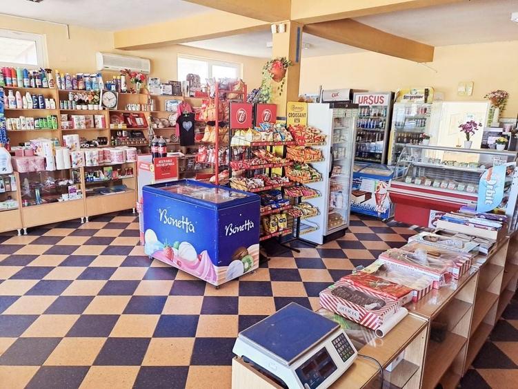 Spațiu comercial, de 220 mp, în Albești