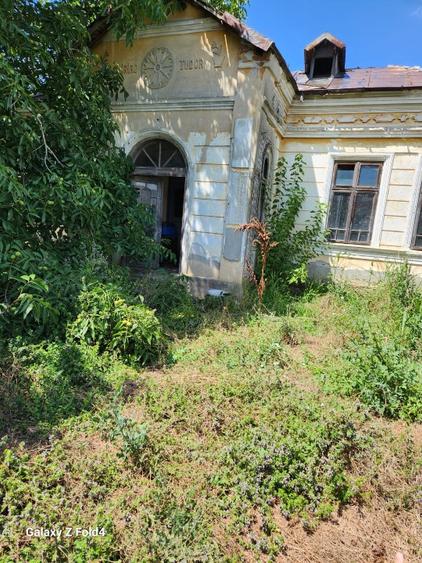 Casă individuală cu 3 camere cu Teren 2894 Mp în Segarcea-Vale