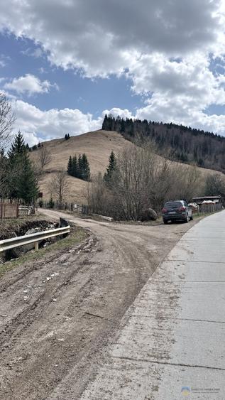 Teren intravilan de 716 mp, în Poiana Teiului