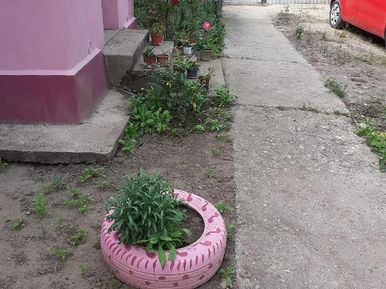 Casă individuală cu 2 camere cu Teren 2930 Mp în Valea Stanciului