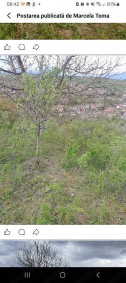 Teren de 5800 mp, în Central