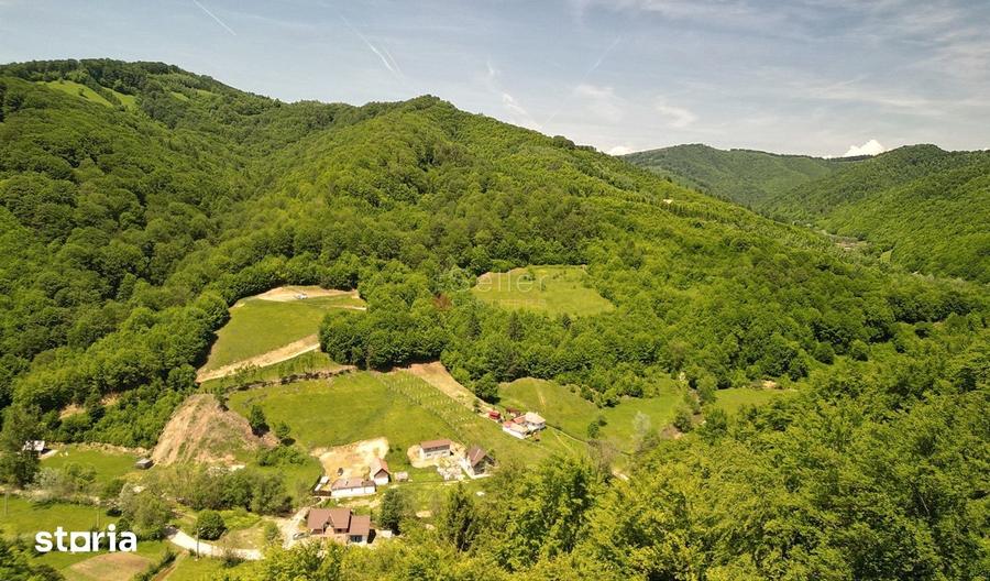 Teren de 16000 mp, în Holbav