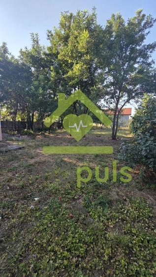 Casă cu 3 camere cu Canalizare în Satchinez