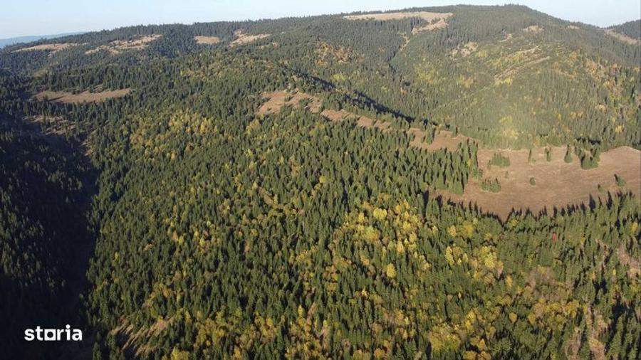 Teren de 162000 mp, în Sărmaș
