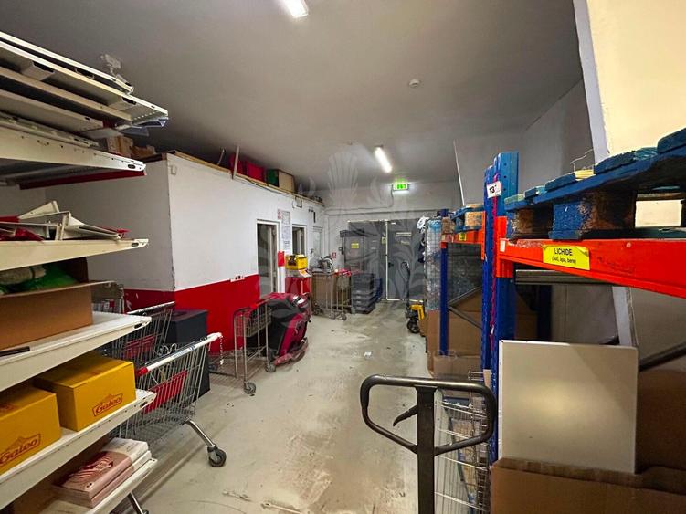 Spațiu comercial, de 492 mp, în Democrației