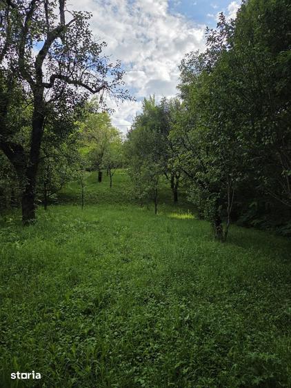Casă cu 3 camere cu Teren 2000 Mp în Pietroșița