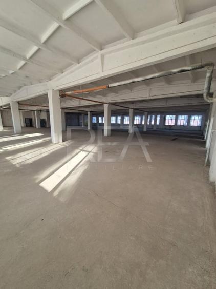 Spațiu industrial, de 3,600 mp, în Theodor Pallady