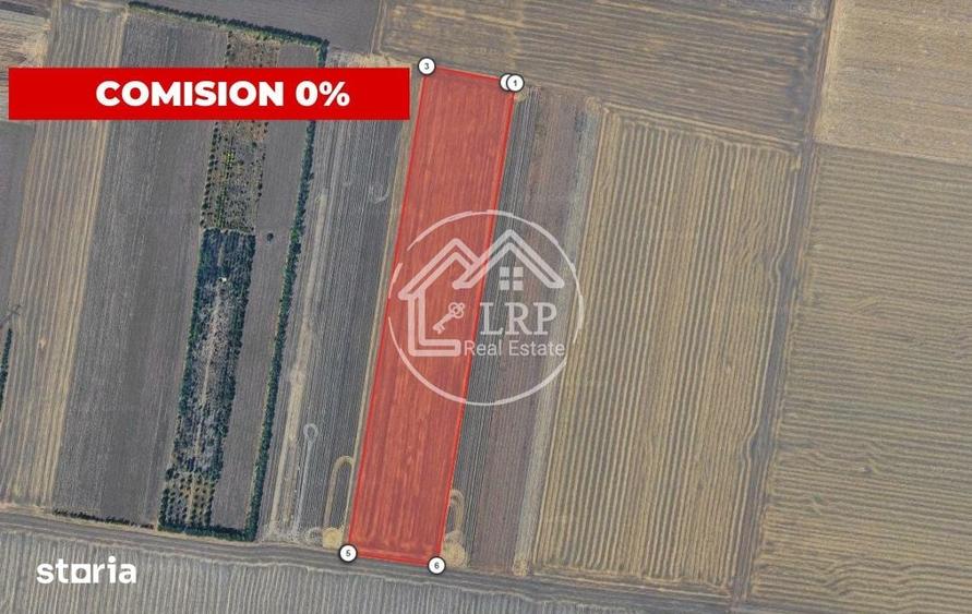 Teren de 55000 mp, în Călugăreni